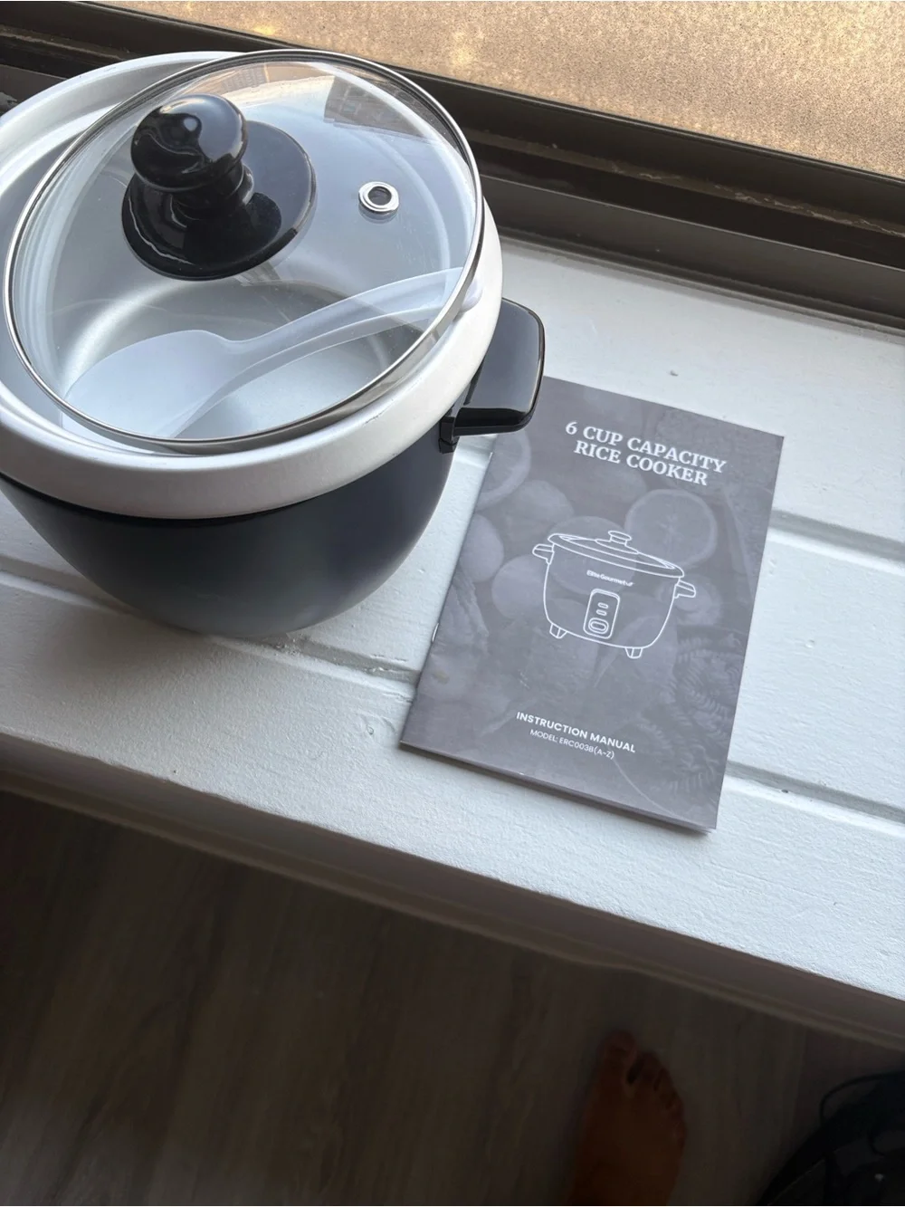 Black Electric Rice Cooker with Silver Lid - Compact Multi-Cooker